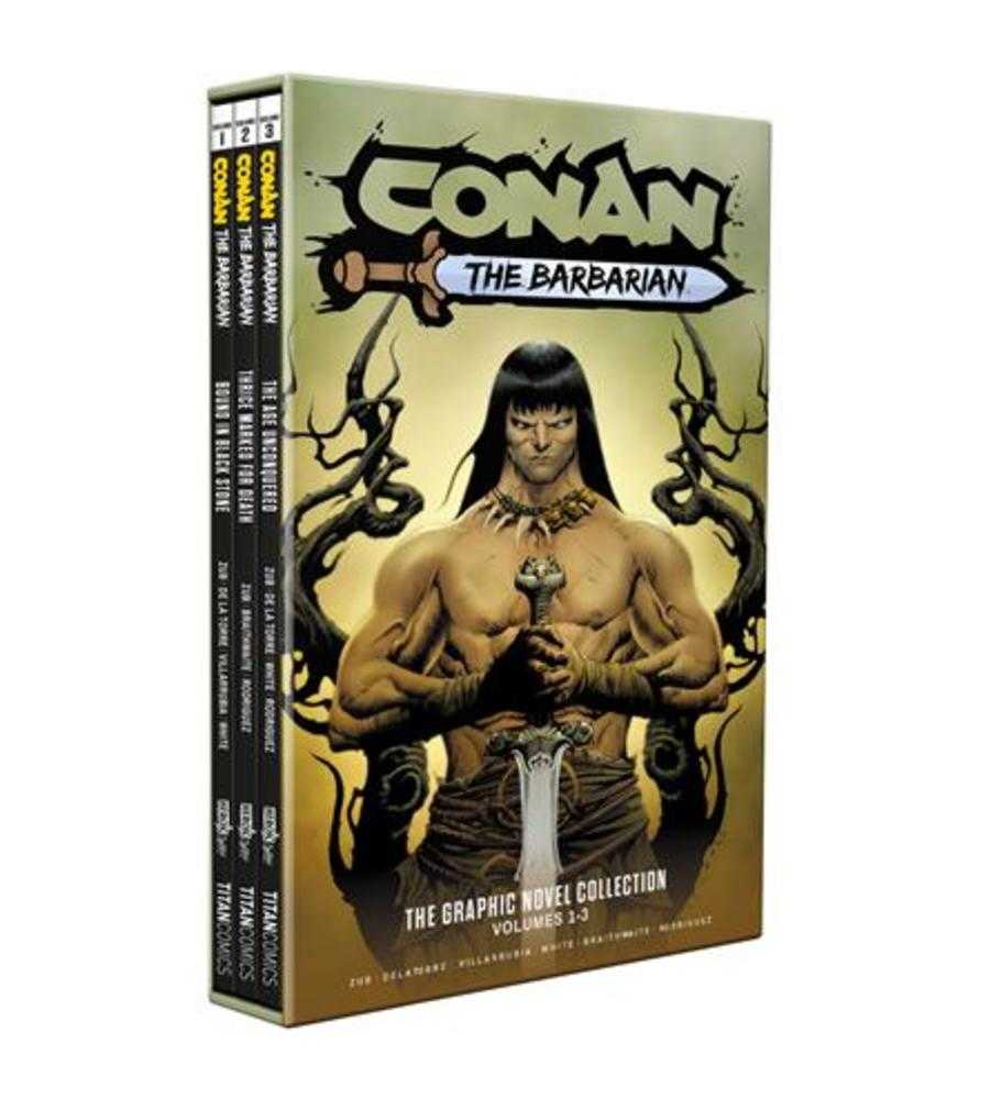 Conan The Barbarian TPB Volume 01 03 Slipcase Set Direct Market Edition Jae Lee Cover (Mature)