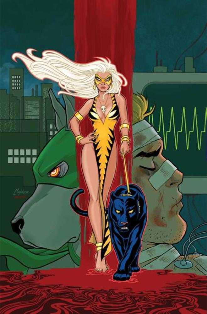 Blue Falcon & Dynomutt #3 Cover H Inc 1:15 Amanda Conner Full Art Variant