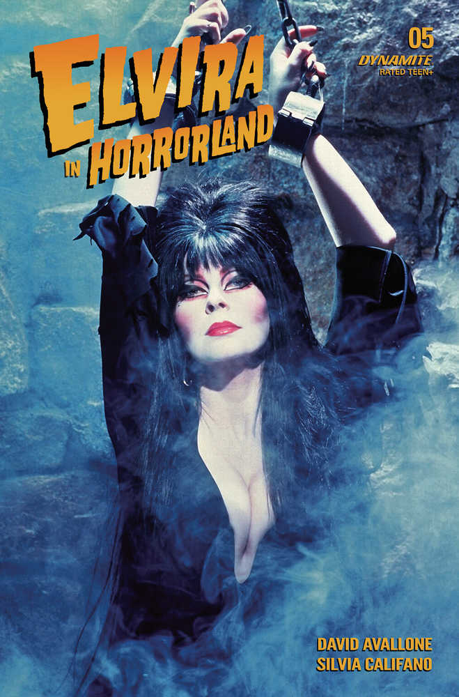 Elvira In Horrorland #5 Cover D Photo